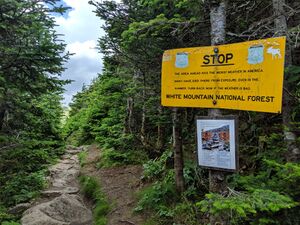 White Mountain National Forest Alpine Zone Warning Sign.jpg