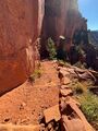 This is what the trail looks like at the tunnel, nice soft dirt... it was pretty rocky (with hard erosion-preventing steps) coming down the canyon wall