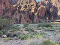 First sight of the Colorado River