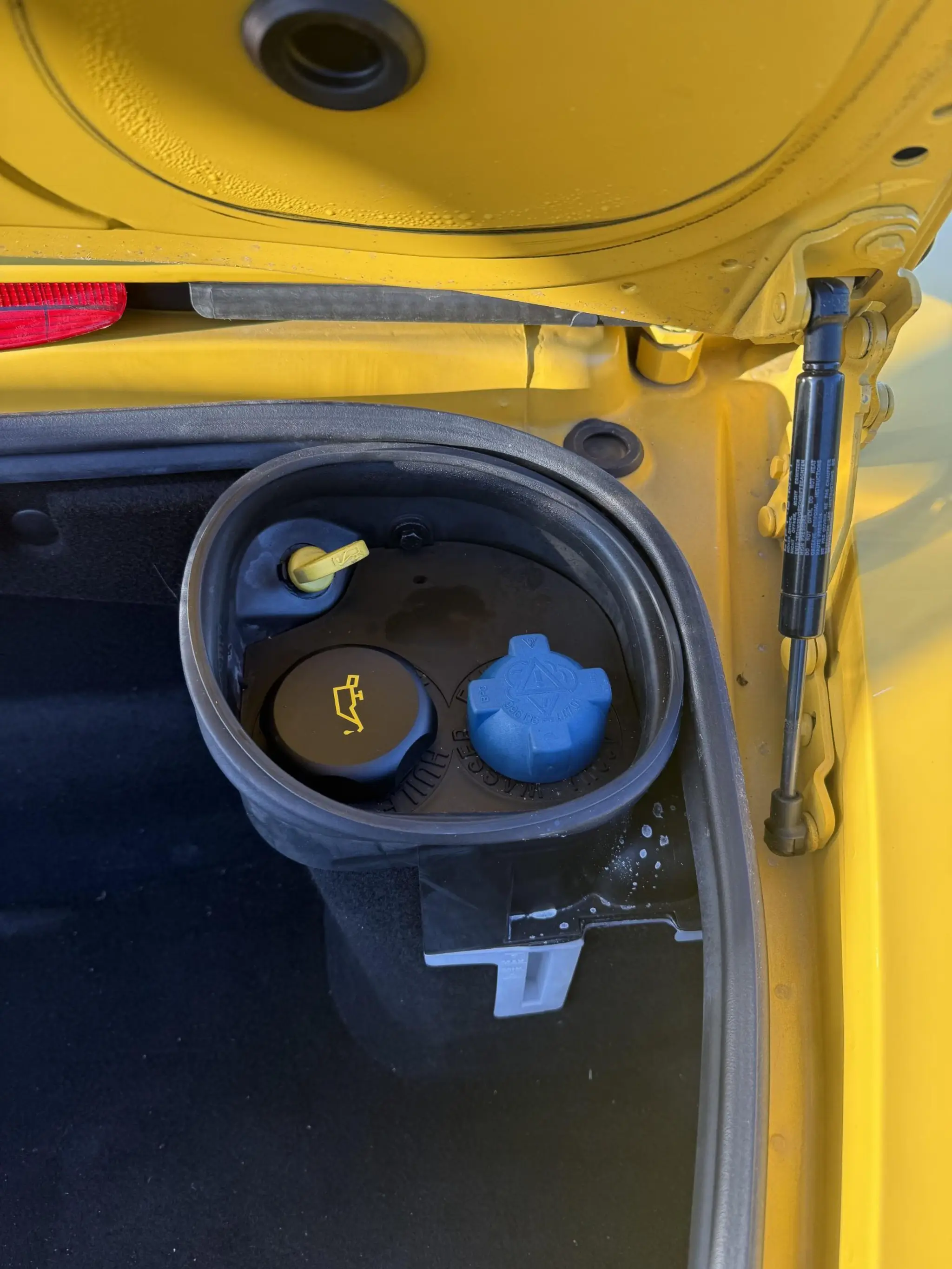 IMG 5544-51928-scaled-tiny-2048x0.webp